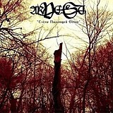 Arvest - Slyozy Pylayuschei Oseni [Tears Of Flaming Autumn], CD