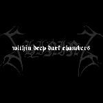 Shining - Within Deep Dark Chambers [black, 2013], LP