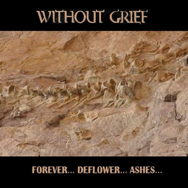 Without Grief ‎- Forever ... Deflower ... Ashes ..., Digi2CD